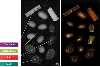 Teledyne Imaging 等短波紅外相機(jī)可以幫助檢測(cè)食品分選應(yīng)用中的水分。