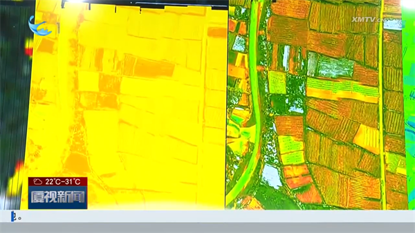 廈門(mén)：AI+高光譜 繪就農(nóng)業(yè)新畫(huà)卷4