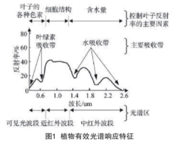 高光譜與多光譜數(shù)據(jù)融合在植被水域分類(lèi)與生態(tài)保護(hù)中的應(yīng)用